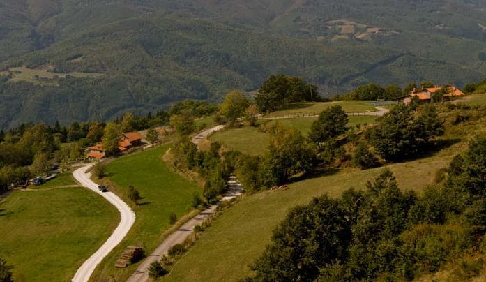 Agriturismo Il Serrino 산 마르첼로 피스토이에세 외부 사진